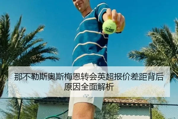 那不勒斯奥斯梅恩转会英超报价差距背后原因全面解析